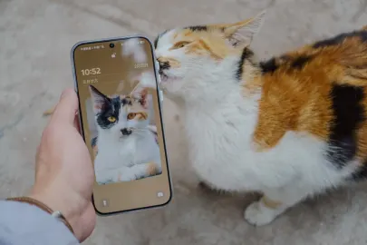 BetCart Cazino Cazinou Aplicație mobilă